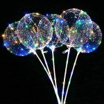 LED Bubble Balloon With Holder